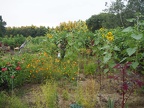 P8230305