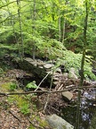 P5260177