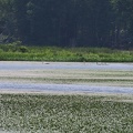 P6270041