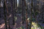 DSCF4712