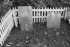 DSCF4551