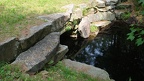 DSCF8450