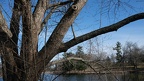 DSCF8208