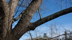 DSCF8210