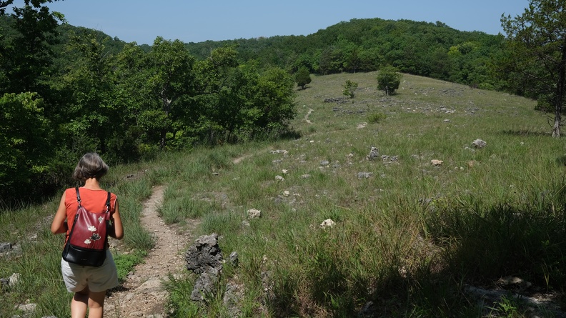 DSCF8625.JPG