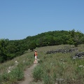 DSCF8626