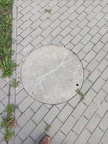 2024-09-24 17.50.00