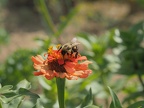 P8300036