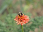 P8300046