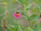 P8300048