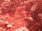 P1012569