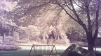 DSCF0697