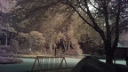 DSCF0699
