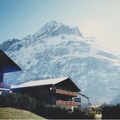 SCN 0039