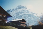 SCN 0039