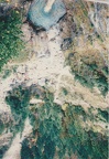 SCN 0077