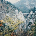 SCN 0079