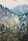SCN 0079