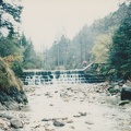 SCN 0084