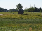P6230317