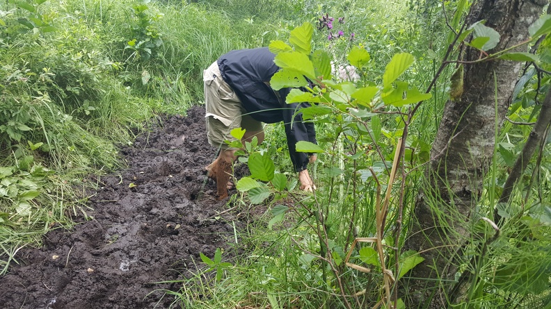 2019-06-27_12.41.01.jpg