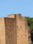 IMG 0338