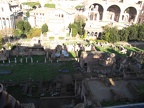 IMG 0341