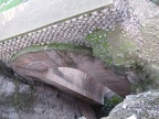 IMG 0349