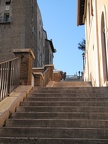IMG 0381