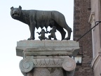 IMG 0391