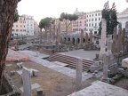 IMG 0455