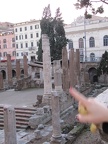 IMG 0456