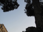 IMG 0458