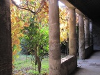 IMG 0542