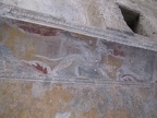 IMG 0544