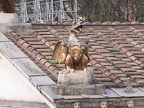 IMG 0634