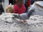 IMG 0693