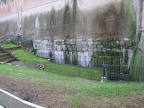 IMG 0842