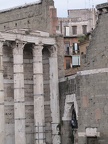 IMG 0979
