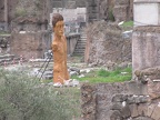 IMG 0981