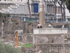 IMG 0982