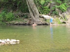 IMG 3155