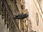 IMG 5272
