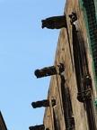 IMG 5294