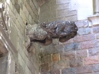 IMG 5295