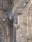 IMG 5543