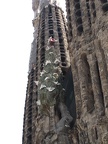 IMG 5545