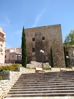 IMG 5572