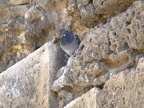 IMG 5578