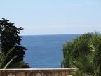 IMG 5579